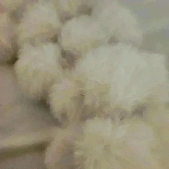 Poof Scarf Infinity White Cream Faux Fur Fluffy Soft Plush White Accessory Winte - Picture 4 of 6